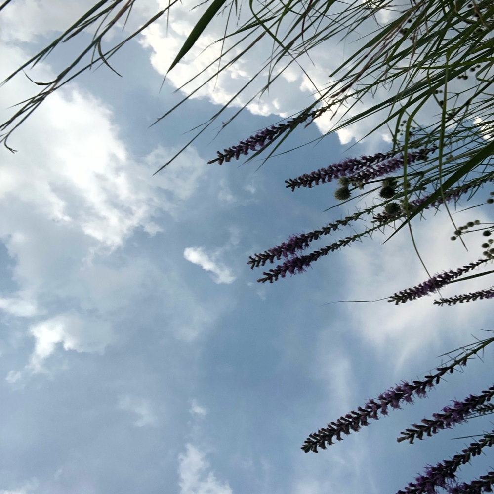 Meet your Posher, Penelope